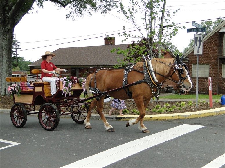 Horse & Carriage, Ltd. provided carriage rides through town.