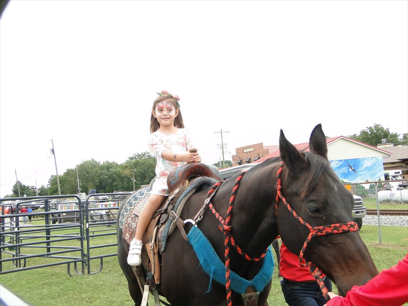 Horse Rides for the little ones.