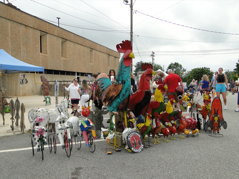 That rooster is taller than me!