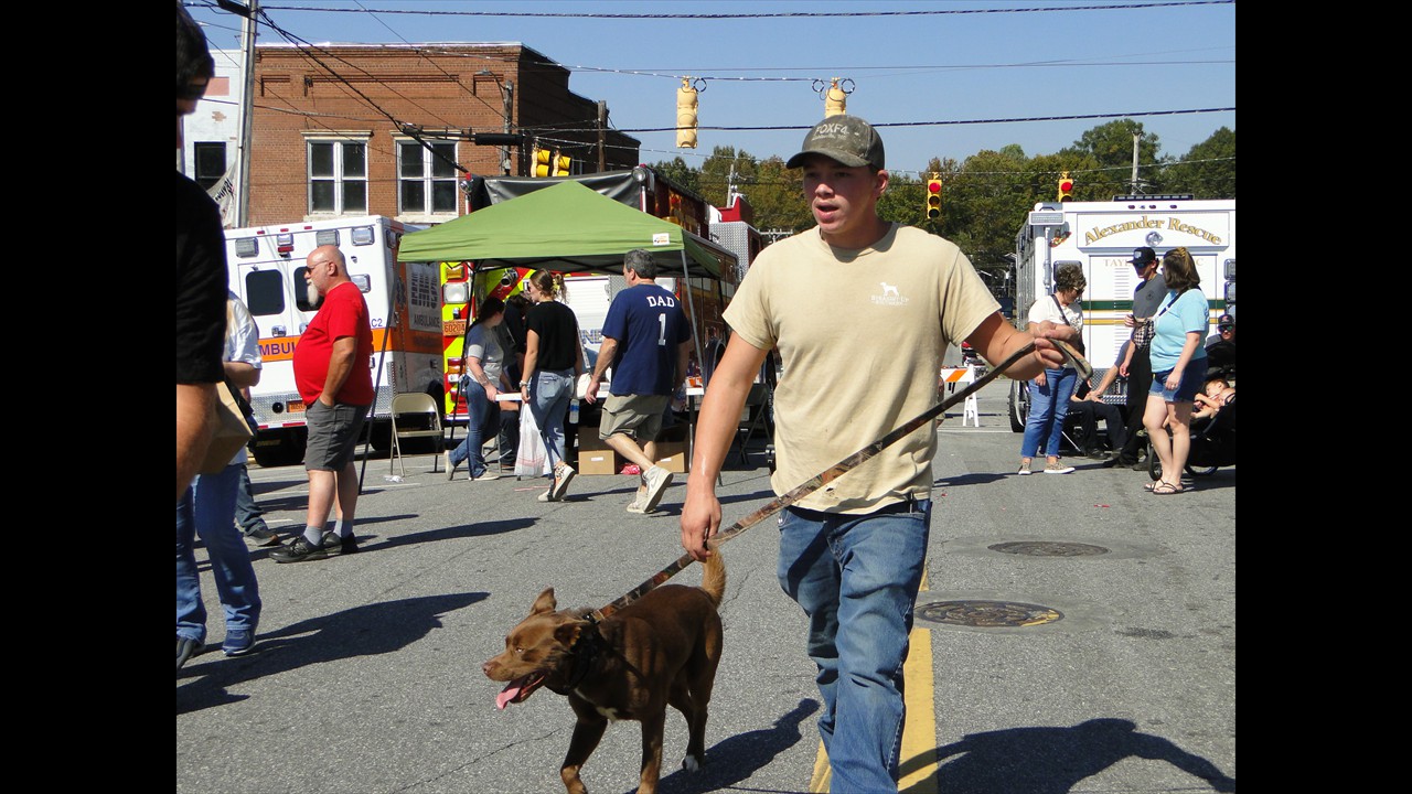 Our furry friends enjoyed the day!